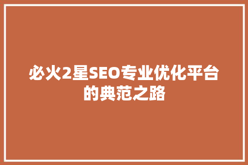 必火2星SEO专业优化平台的典范之路