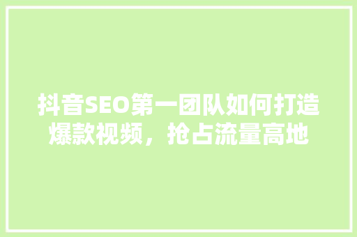 抖音SEO第一团队如何打造爆款视频，抢占流量高地