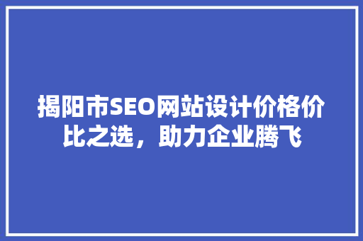 揭阳市SEO网站设计价格价比之选，助力企业腾飞