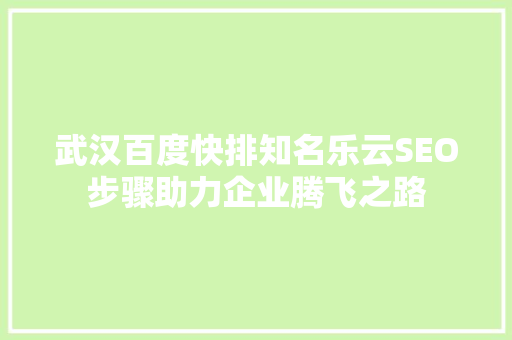 武汉百度快排知名乐云SEO步骤助力企业腾飞之路