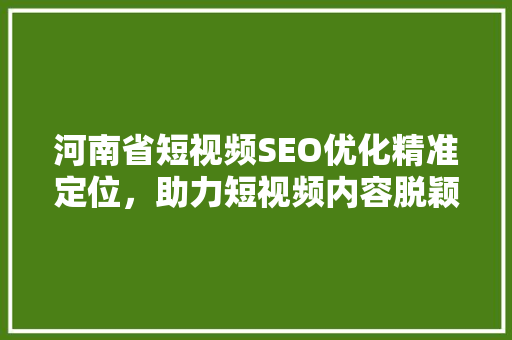 河南省短视频SEO优化精准定位，助力短视频内容脱颖而出