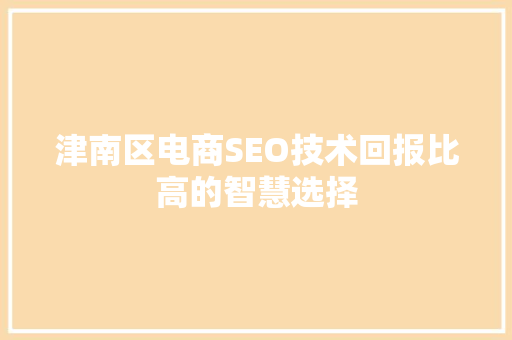津南区电商SEO技术回报比高的智慧选择