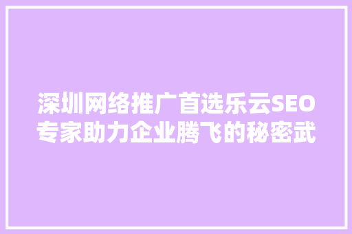 深圳网络推广首选乐云SEO专家助力企业腾飞的秘密武器