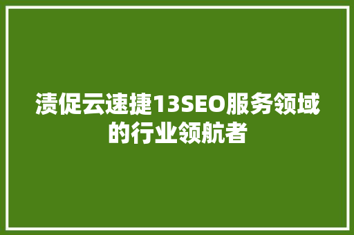 渍促云速捷13SEO服务领域的行业领航者