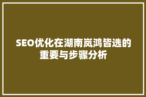 SEO优化在湖南岚鸿皆选的重要与步骤分析