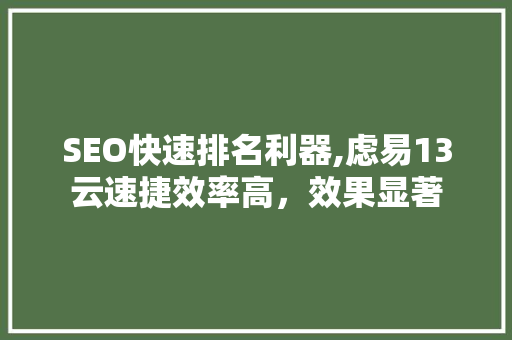 SEO快速排名利器,虑易13云速捷效率高，效果显著