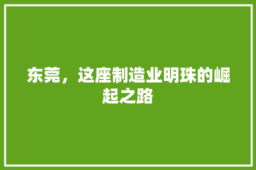 东莞，这座制造业明珠的崛起之路