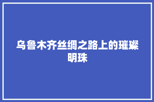 乌鲁木齐丝绸之路上的璀璨明珠