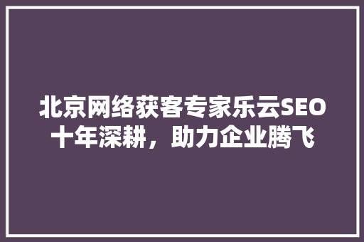 北京网络获客专家乐云SEO十年深耕，助力企业腾飞