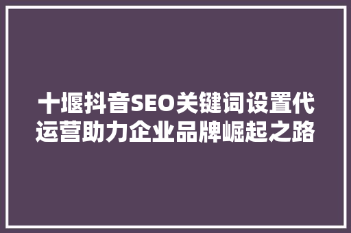 十堰抖音SEO关键词设置代运营助力企业品牌崛起之路