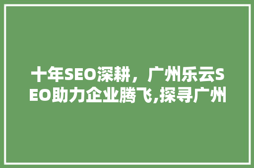 十年SEO深耕，广州乐云SEO助力企业腾飞,探寻广州搜索引擎优化之路