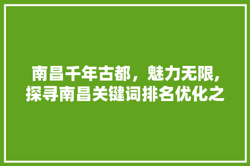 南昌千年古都，魅力无限,探寻南昌关键词排名优化之路