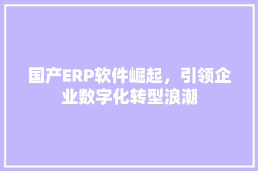 国产ERP软件崛起，引领企业数字化转型浪潮  第1张