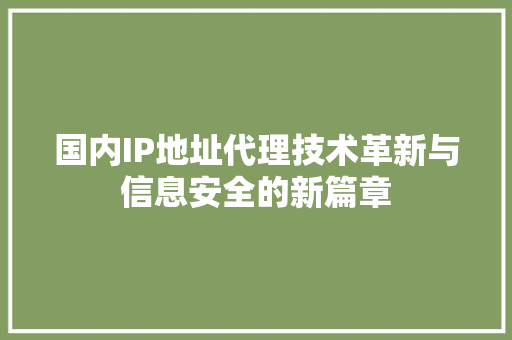 国内IP地址代理技术革新与信息安全的新篇章  第1张