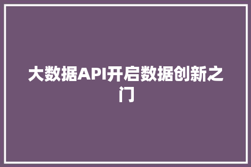 大数据API开启数据创新之门