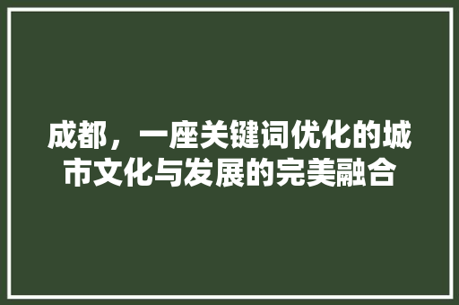 成都，一座关键词优化的城市文化与发展的完美融合