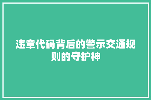 违章代码背后的警示交通规则的守护神