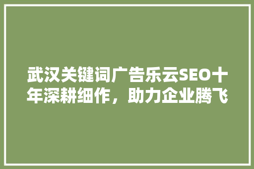 武汉关键词广告乐云SEO十年深耕细作，助力企业腾飞