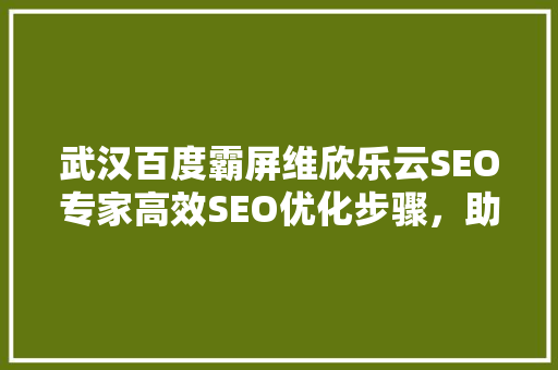 武汉百度霸屏维欣乐云SEO专家高效SEO优化步骤，助力企业腾飞