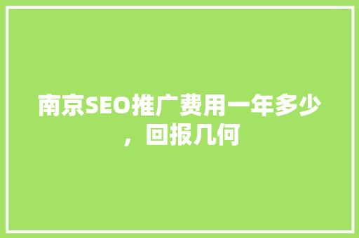 南京SEO推广费用一年多少，回报几何  第1张