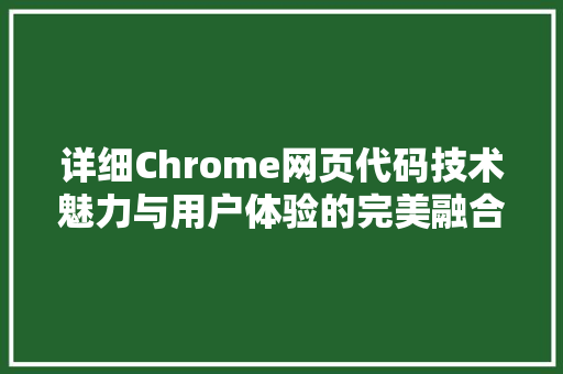 详细Chrome网页代码技术魅力与用户体验的完美融合