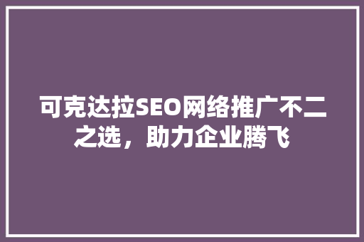 可克达拉SEO网络推广不二之选，助力企业腾飞