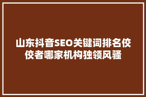 山东抖音SEO关键词排名佼佼者哪家机构独领风骚
