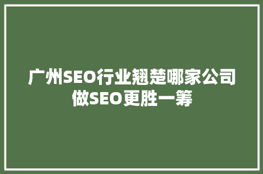 广州SEO行业翘楚哪家公司做SEO更胜一筹