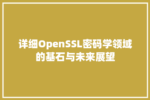 详细OpenSSL密码学领域的基石与未来展望