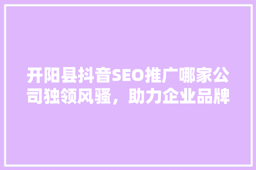 开阳县抖音SEO推广哪家公司独领风骚，助力企业品牌腾飞