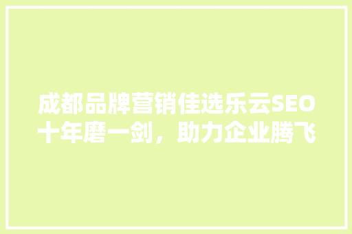 成都品牌营销佳选乐云SEO十年磨一剑，助力企业腾飞