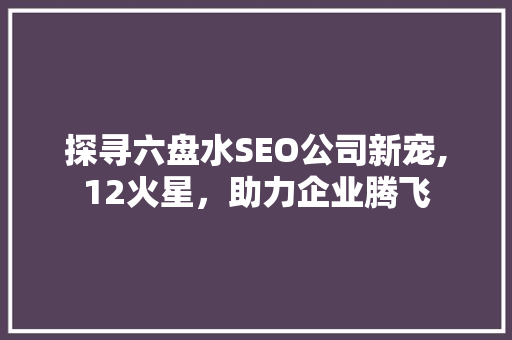 探寻六盘水SEO公司新宠,12火星，助力企业腾飞