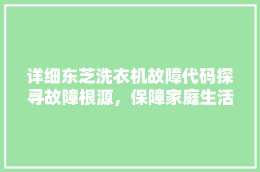 详细东芝洗衣机故障代码探寻故障根源，保障家庭生活品质