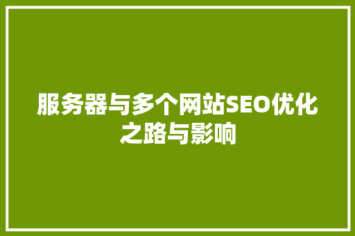 服务器与多个网站SEO优化之路与影响