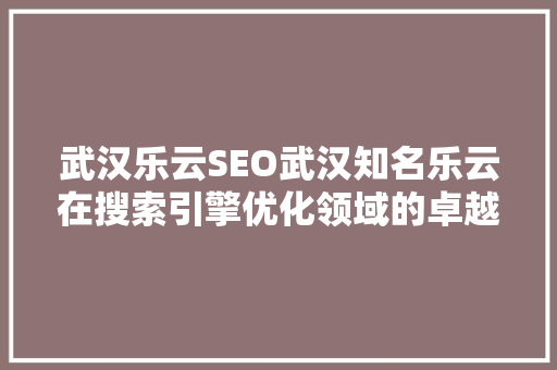 武汉乐云SEO武汉知名乐云在搜索引擎优化领域的卓越表现