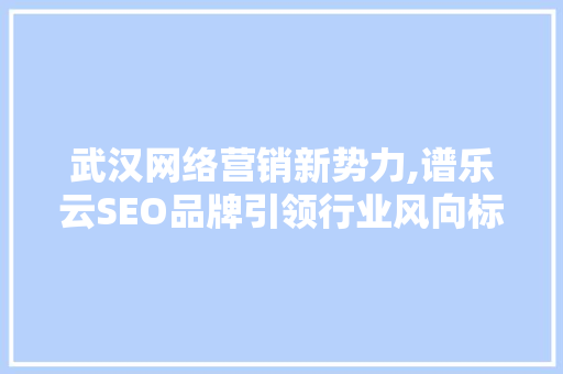 武汉网络营销新势力,谱乐云SEO品牌引领行业风向标