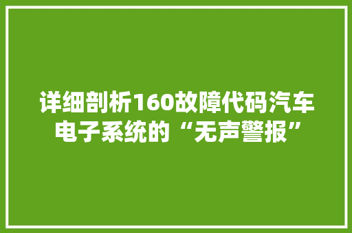 详细剖析160故障代码汽车电子系统的“无声警报”  第1张