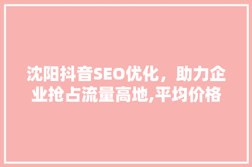 沈阳抖音SEO优化，助力企业抢占流量高地,平均价格背后的价值