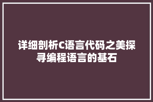 详细剖析C语言代码之美探寻编程语言的基石