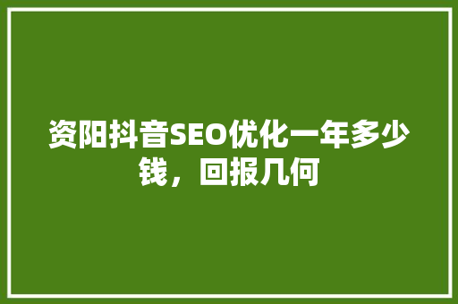 资阳抖音SEO优化一年多少钱，回报几何