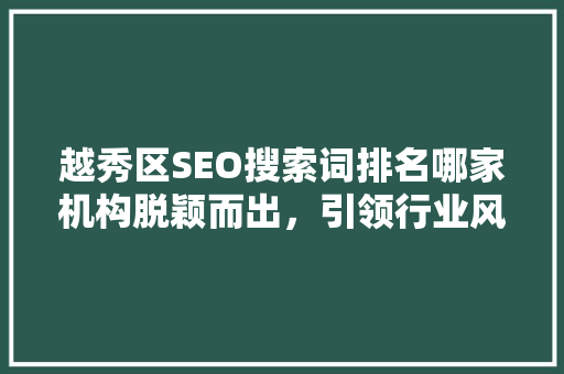越秀区SEO搜索词排名哪家机构脱颖而出，引领行业风向标