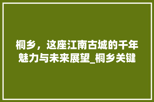 桐乡，这座江南古城的千年魅力与未来展望_桐乡关键词推广优化