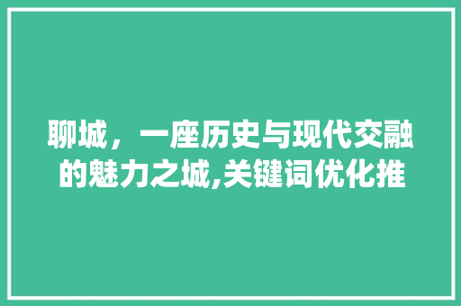聊城，一座历史与现代交融的魅力之城,关键词优化推广步骤_聊城推广关键词如何优化