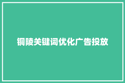 铜陵关键词优化广告投放