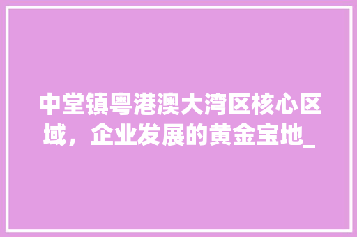 中堂镇粤港澳大湾区核心区域，企业发展的黄金宝地_中堂镇关键词优化公司