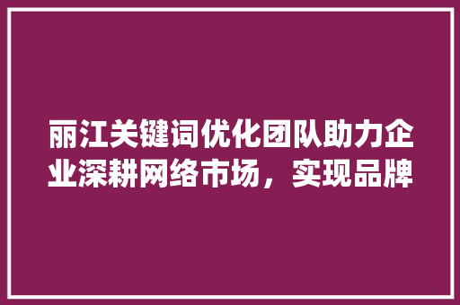 丽江关键词优化团队助力企业深耕网络市场，实现品牌价值最大化_丽江关键词优化团队