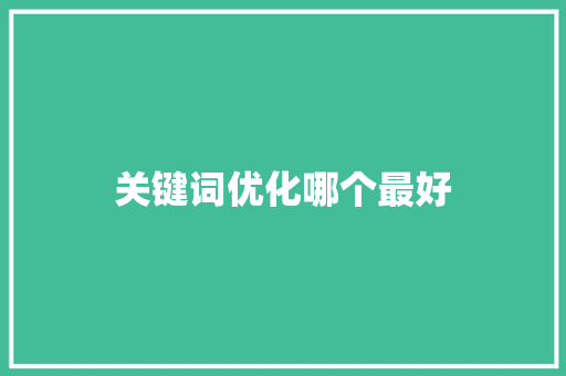 关键词优化哪个最好