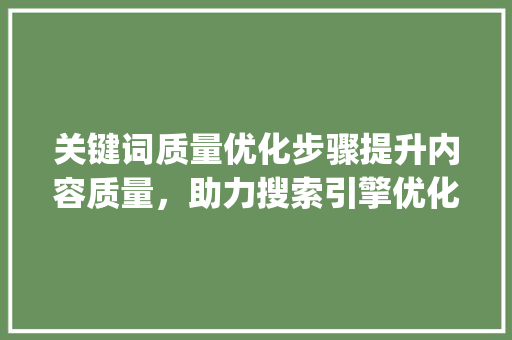 关键词质量优化步骤提升内容质量，助力搜索引擎优化_优化关键词质量怎么写
