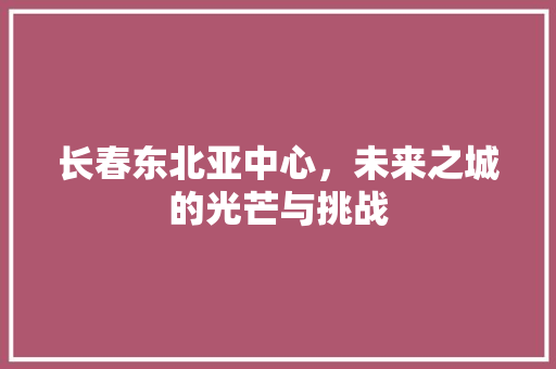 长春东北亚中心，未来之城的光芒与挑战