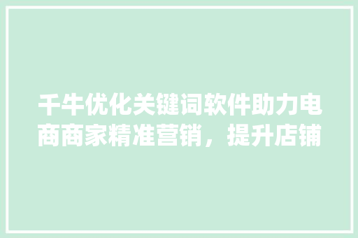 千牛优化关键词软件助力电商商家精准营销，提升店铺流量与转化率_千牛优化关键词软件